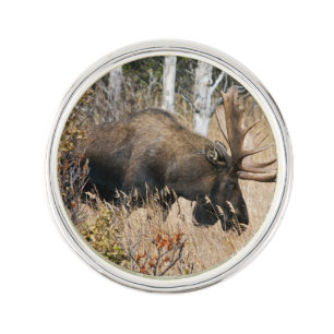 Grazing Moose Lapel Pin