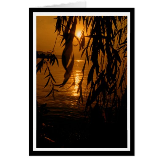 grazing pasture with sunset (Front)