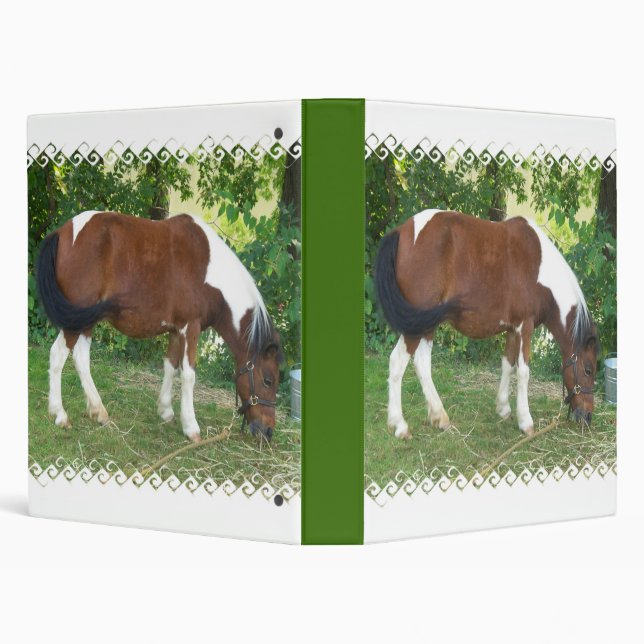 Grazing Pony Binder (Background)