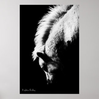 Grazing Pony, Fine Art Photograph Poster