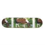 Grazing Pony Skateboard