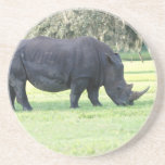 Grazing Rhino Coaster