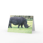 Grazing Rhino Greeting Card