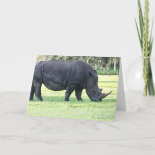 Grazing Rhino Greeting Card