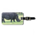 Grazing Rhino Luggage Tag