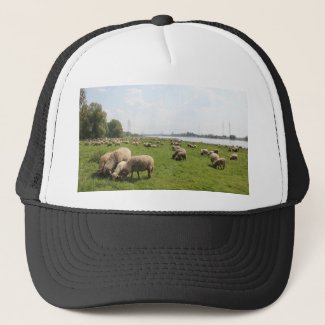Grazing Sheep by the Rhine Trucker Hat