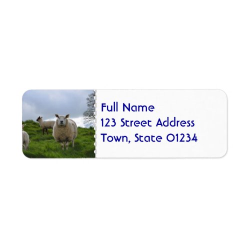 Grazing Sheep Label