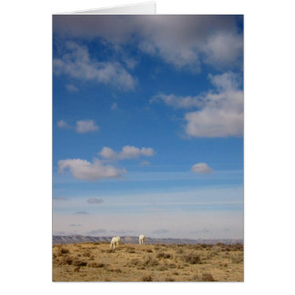 Grazing the Wind River Range, Wyoming Cards