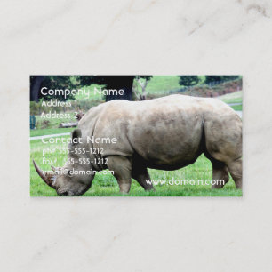 Grazing White Rhino Business Cards