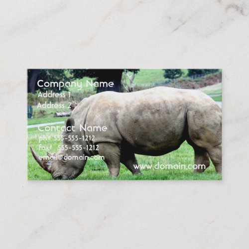 Grazing White Rhino Business Cards