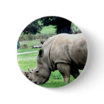Grazing White Rhino  Button