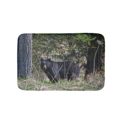 Grazing Wild Black Bear Wildlife Photo Bathroom Mat