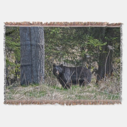 Grazing Wild Black Bear Wildlife Photo Throw Blanket