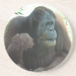 Great Ape Coasters