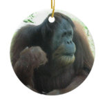 Great Ape Ornament