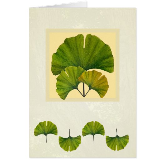 Great Arts & Crafts Ginkgo Art Cards (Front)