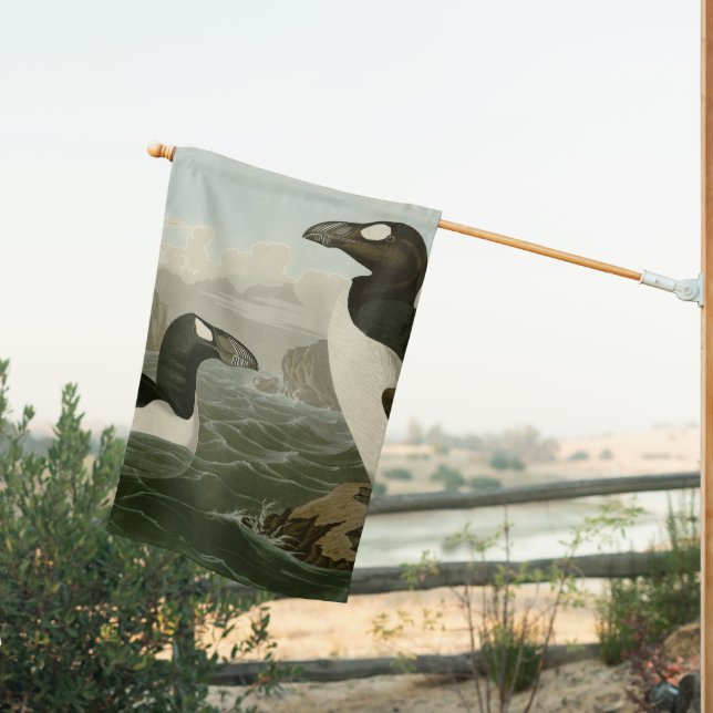 Great Auk - John James Audubon's Birds of America House Flag (Insitu (Back))