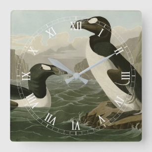 Great Auk - John James Audubon's Birds of America Square Wall Clock