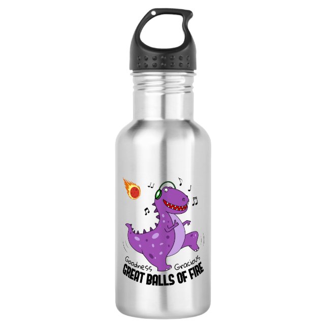 Great Balls Of Fire Dinosaur Meteor Stainless Steel Water Bottle (Front)
