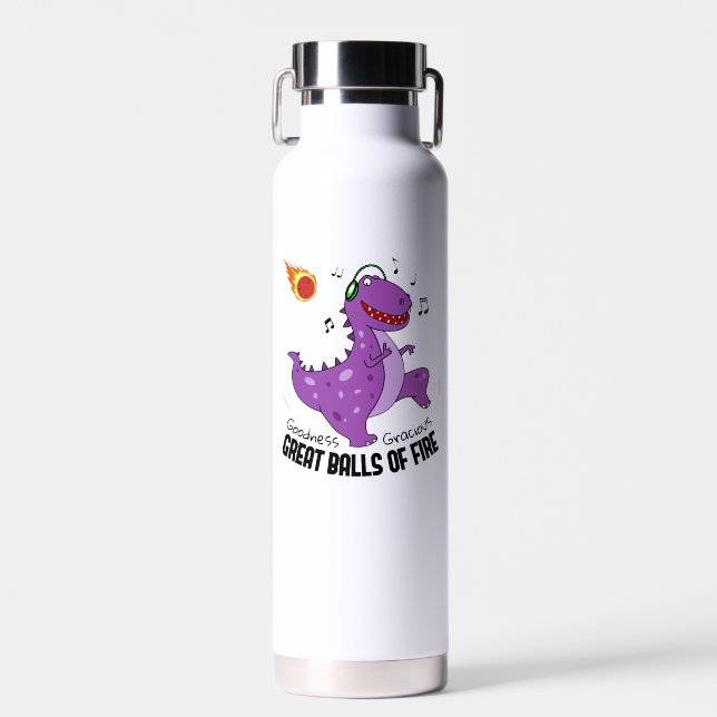 Great Balls Of Fire Dinosaur Meteor Water Bottle (Front)