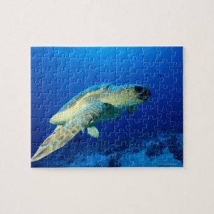 Great Barrier Reef, Australia 2 Jigsaw Puzzle