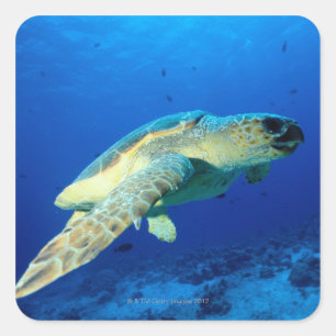 Great Barrier Reef, Australia 2 Square Sticker