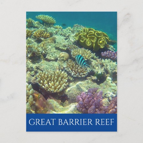 great barrier reef australia postcard