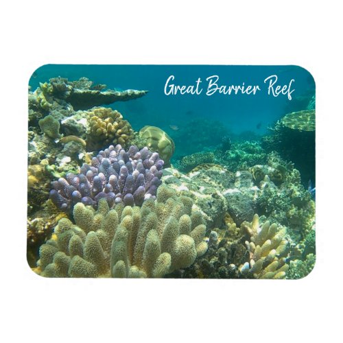 great barrier reef coral magnet