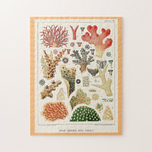 Great Barrier Reef Corals Jigsaw Puzzle