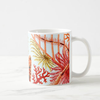 Great Barrier Reef Echinoderms | Vintage Coffee Mug