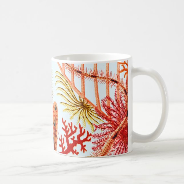 Great Barrier Reef Echinoderms | Vintage Coffee Mug (Right)