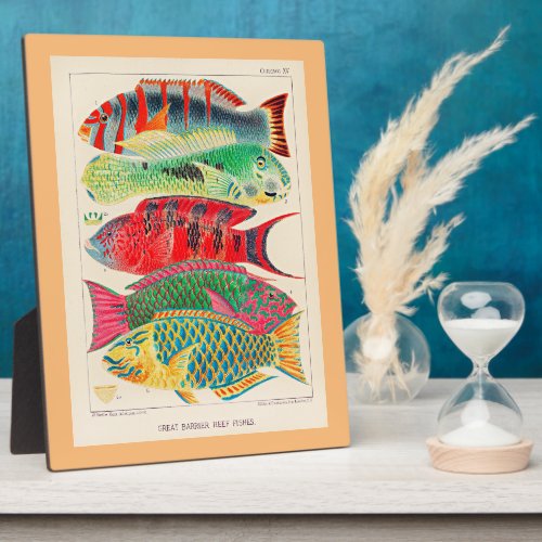 Great Barrier Reef Fishes Plaque