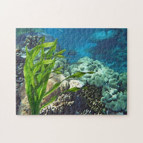 Great Barrier Reef Jigsaw Puzzle