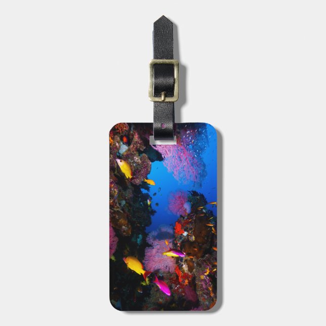 Great Barrier Reef Luggage Tag (Front Vertical)