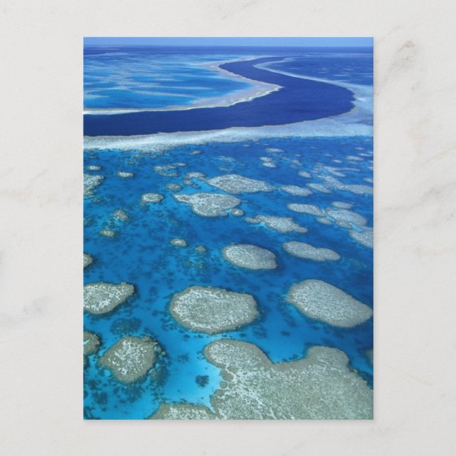Great Barrier Reef Marine Park Queensland AU Postcard (Front)