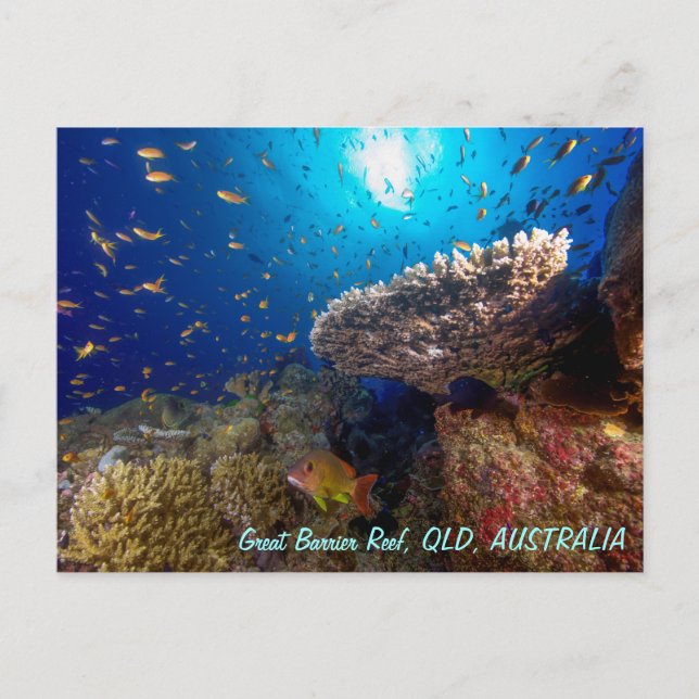 Great Barrier Reef Postcard (Front)