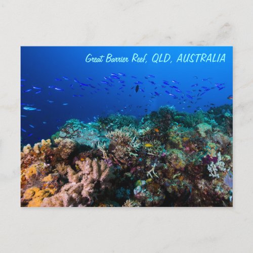 Great Barrier Reef Postcard