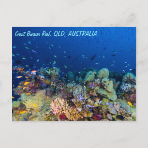 Great Barrier Reef Postcard