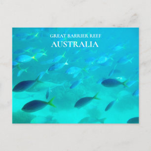 Great Barrier Reef Queensland Australian travel Postcard
