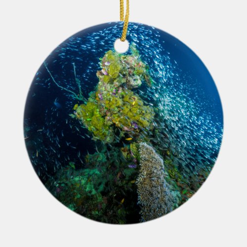 Great Barrier Reef Tropical Fish Coral Sea Ceramic Ornament