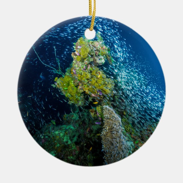 Great Barrier Reef Tropical Fish Coral Sea Ceramic Ornament (Front)