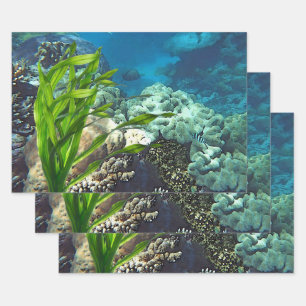 Great Barrier Reef Wrapping Paper Sheets