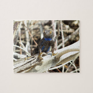 Great Basin Fence Lizard at Joshua Tree Jigsaw Puzzle