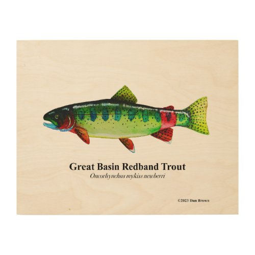 Great Basin Redband Trout  Wood Wall Art