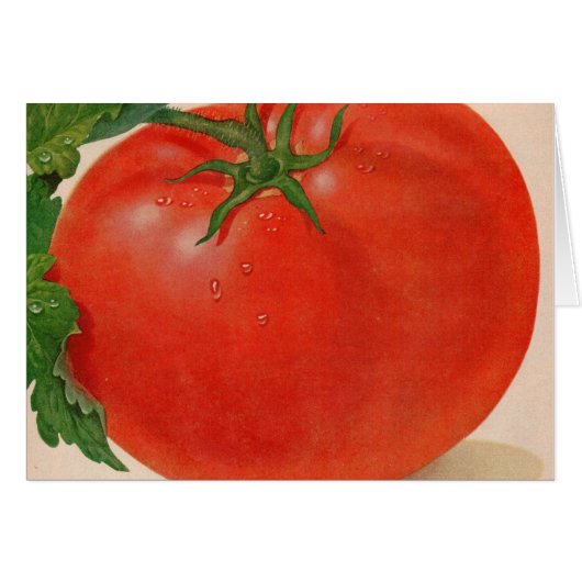 great BIG juicy tomato (Front Horizontal)