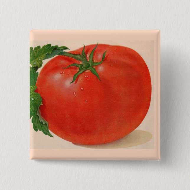 great BIG juicy tomato Button (Front)