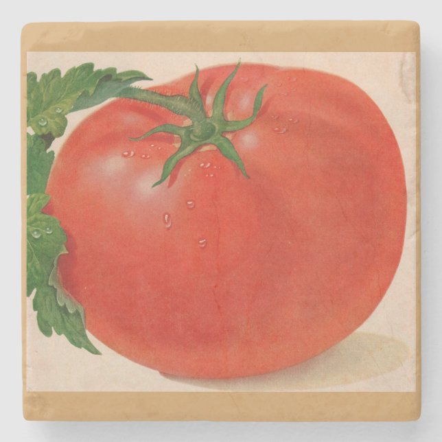great BIG juicy tomato Stone Coaster (Front)