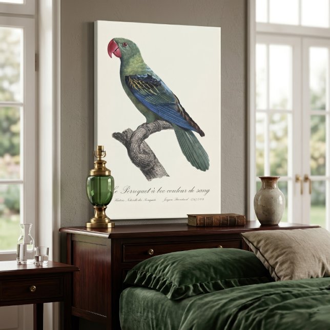 Great-Billed Parrot, Tanygnathus Megalorynchos Canvas Print (Great-Billed Parrot, Tanygnathus Megalorynchos. Canvas Print)