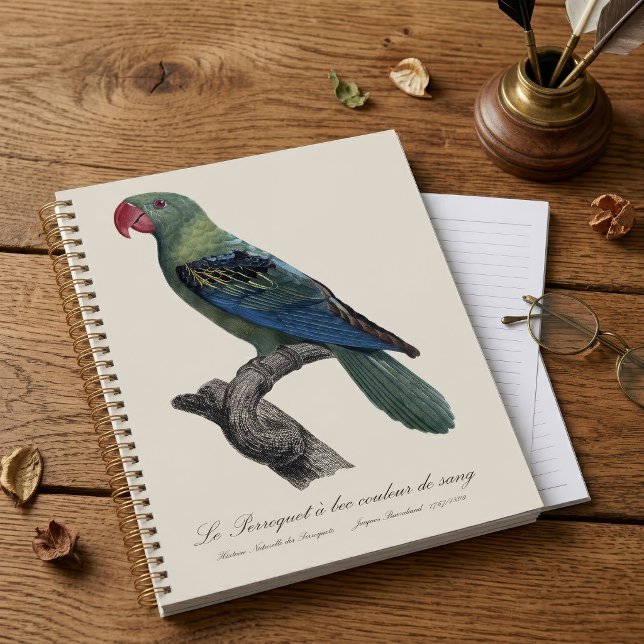 Great-Billed Parrot, Tanygnathus Megalorynchos Planner (Great-Billed Parrot, Tanygnathus Megalorynchos. Planner)