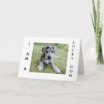 "GREAT BIRTHDAY WISHES FROM GREAT DANE" CARD<br><div class="desc">He may be small but he sure packs some BIG BIRTHDAY WISHES into his card for YOUR favorite person.</div>